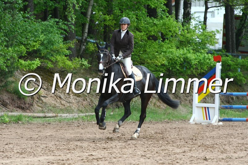 104M6431_Dolce Picolla_Stil_A.JPG